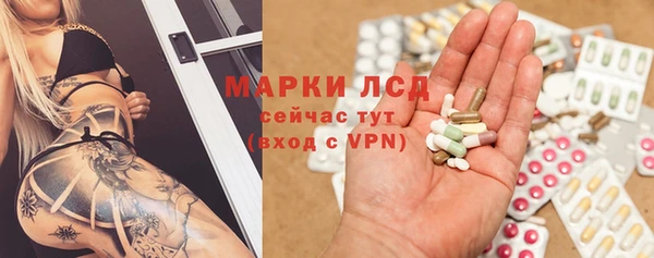 спиды Бородино
