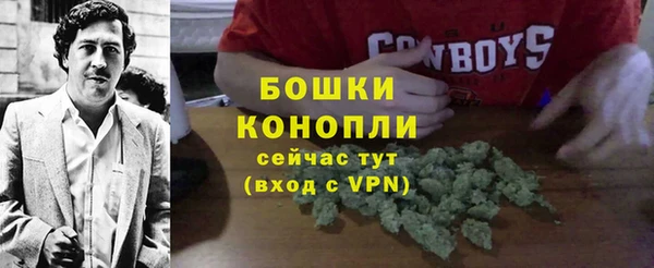 спиды Бородино