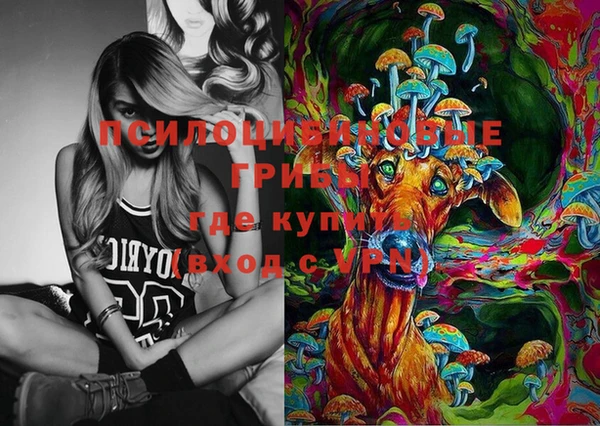 бошки Бугульма