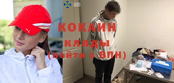 спиды Бородино