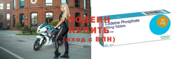 спиды Бородино