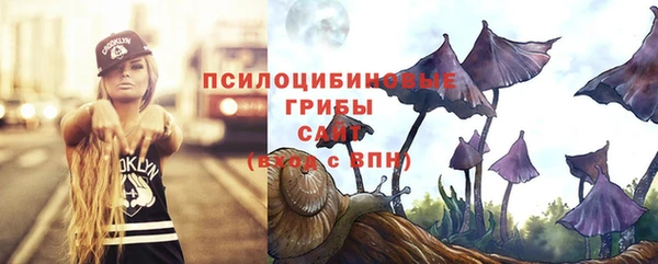 спиды Бородино
