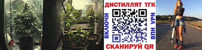 Купить где  Суворов  ТГК THC oil 