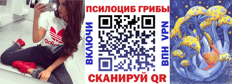 Псилоцибиновые грибы Cubensis  Купить где  Суворов 